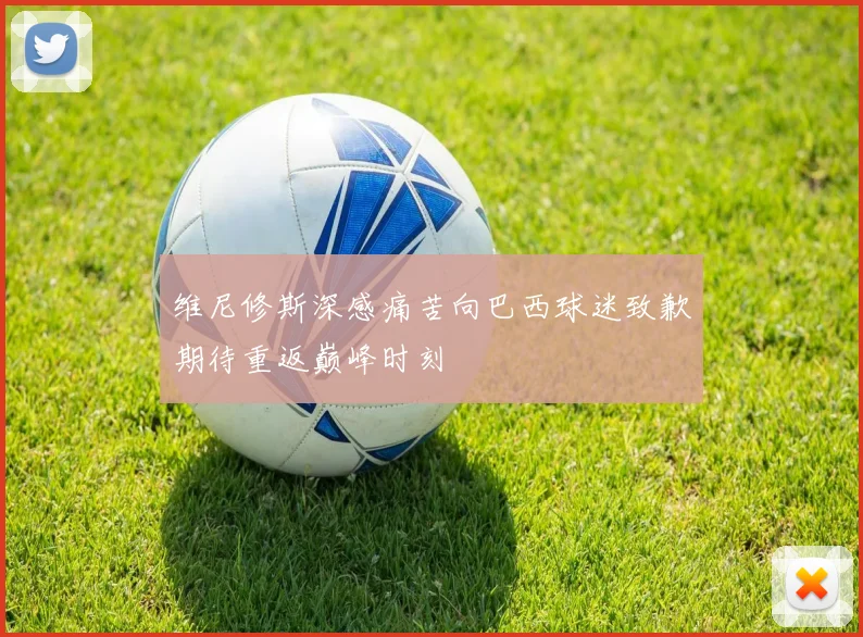 维尼修斯深感痛苦向巴西球迷致歉期待重返巅峰时刻